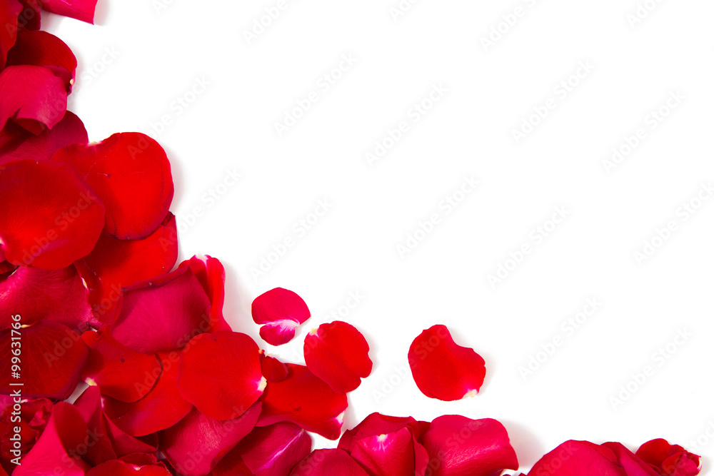 close up of red rose petals with copyspace close up of red rose petals with copyspace