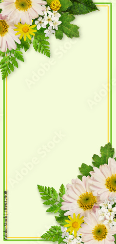 Invitation card with aster ...