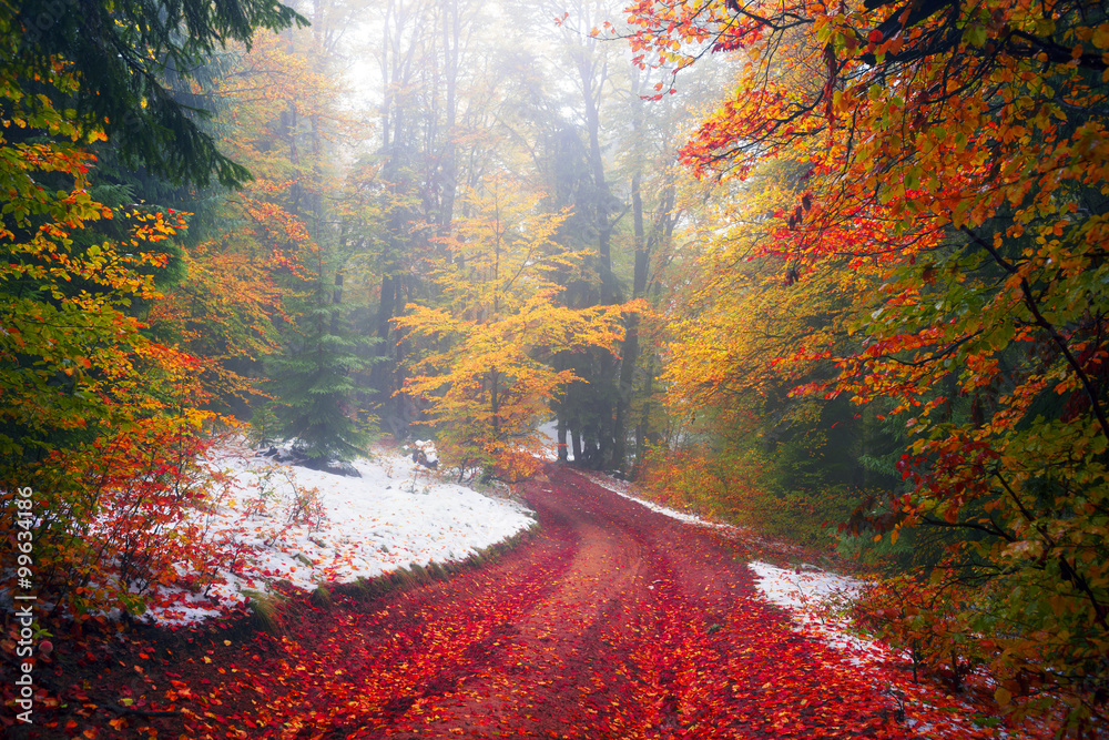 first snow in the autumn