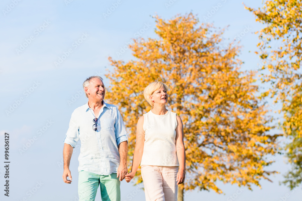 Senior Paar, Frau und Mann, beim Spaziergang über eine Wiese Senior Paar, Frau und Mann, beim Spaziergang über eine Wiese