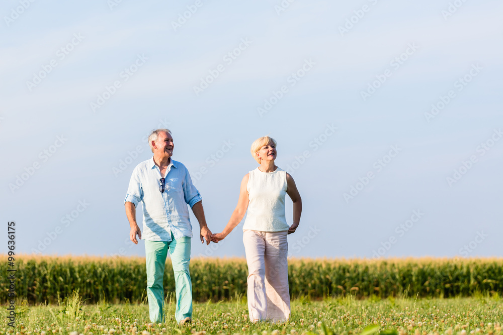 Senioren Paar macht Spaziergang auf Wiese