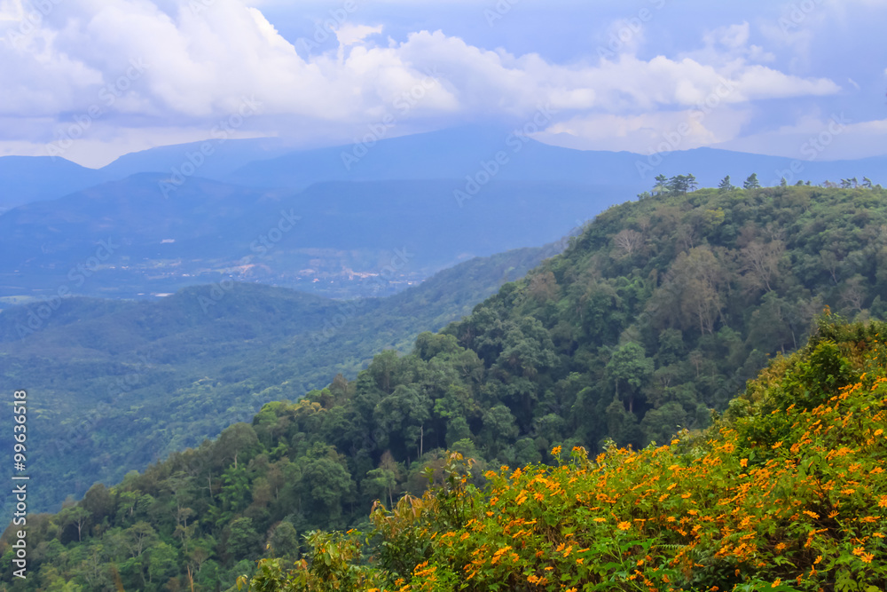 Landscape of Phu Ruea National Park in Thailand.