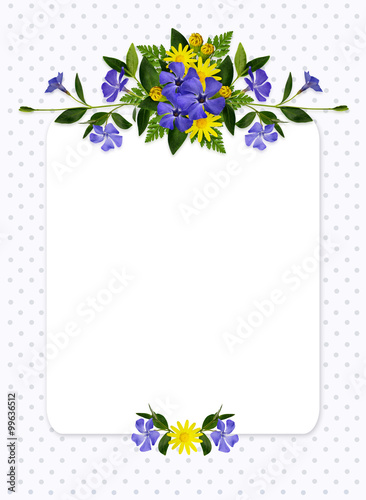 Periwinkle and daisy flower...