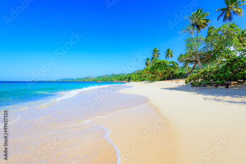 Fototapeta Naklejka Na Ścianę i Meble -  paradise tropical beach