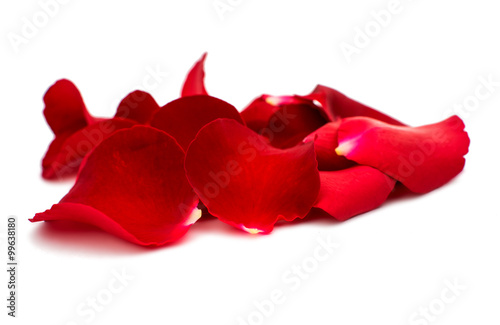 Fototapeta Naklejka Na Ścianę i Meble -  Red rose petals