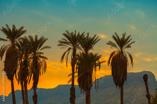 Palm trees against mountain at sunset