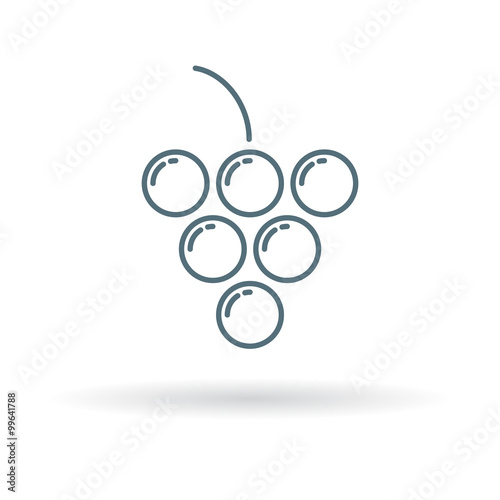 Grapes icon. Grape cluster sign. fruit symbol. Thin line icon on white background. Vector illustration.