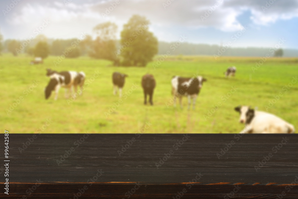 cows and wooden space cows and wooden space