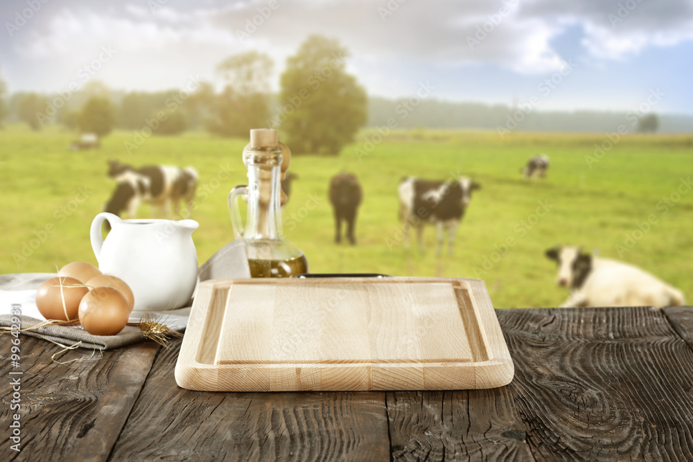 Fototapeta premium cows