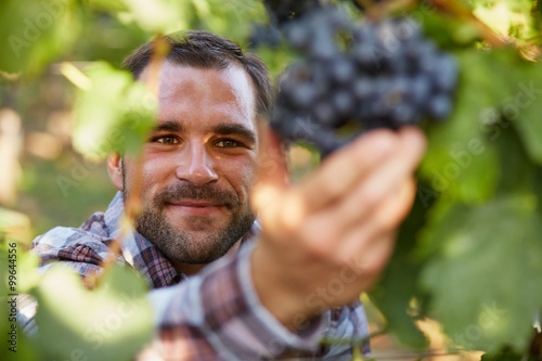 Konstfotografi Winemaker in vineyard