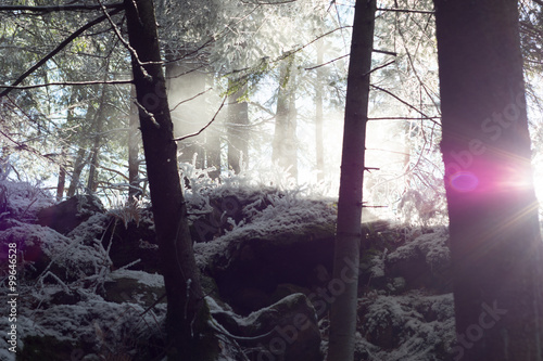 sunny winter mountain landscape photo