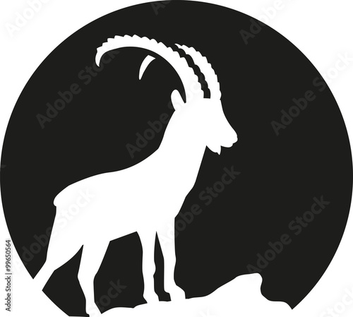 Ibex silhouette in fron of the moon photo