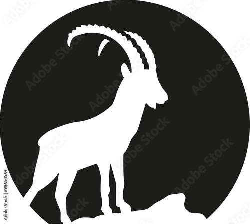 Ibex silhouette in fron of the moon