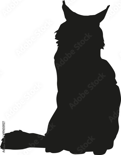 Maine coon silhouette