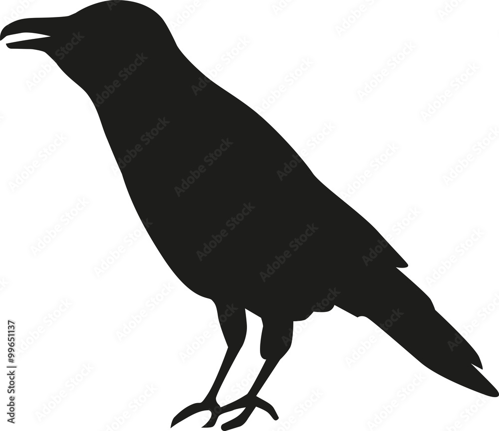 Fototapeta premium Crow silhouette