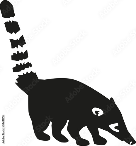 Coati silhouette with details