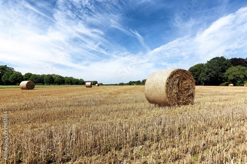 Heuballen nach der Ernte