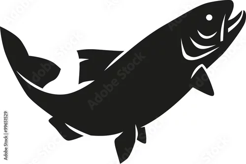 Obraz Trout silhouette