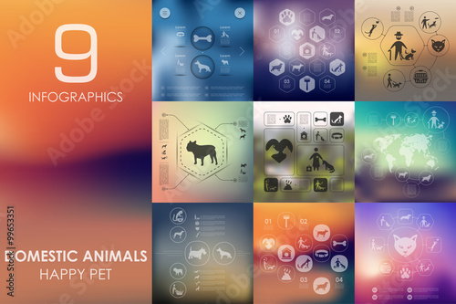 pets infographic with unfocused background