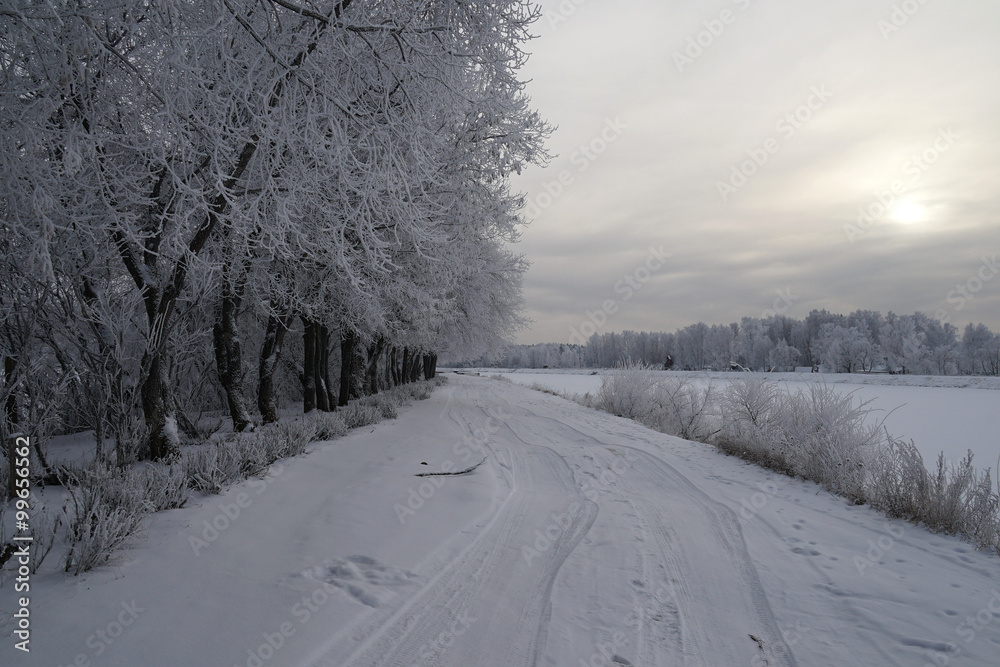 Obraz premium road