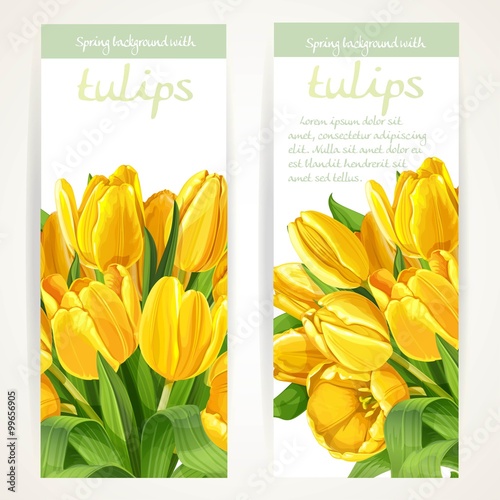 Fototapeta Naklejka Na Ścianę i Meble -  Two vertical spring banners with yellow flowers tulips on a whit