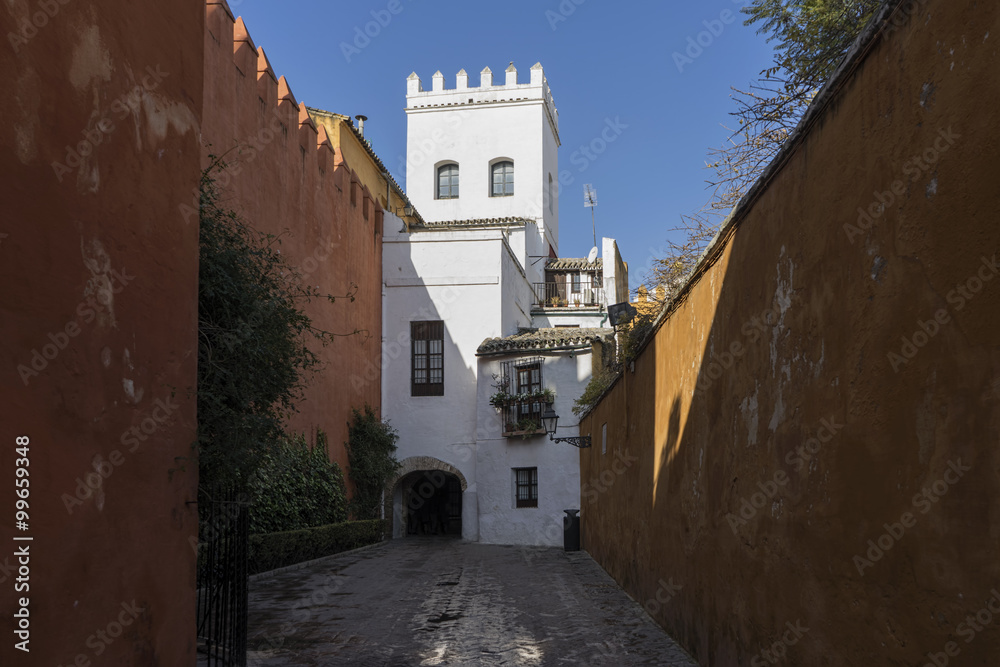 paseando por las antiguos calles de la judería de Sevilla y hoy llamado barrio de Santacruz