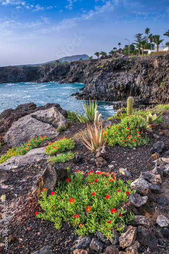 Red flowers and cactus garden on northern coast of Tenerife island with ocean in the background, Canary island, Spain photo