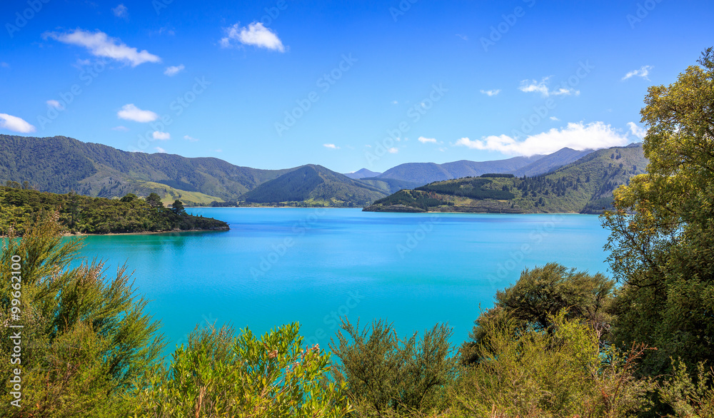 Obraz premium Queens Charlotte Sound mountains and blue sea