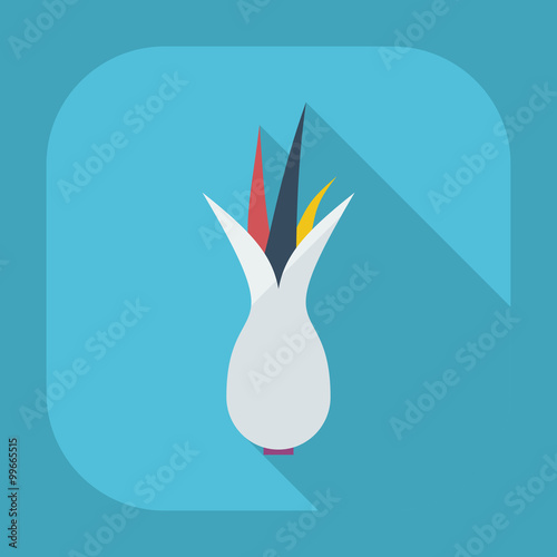 Flat modern design with shadow icons onion
