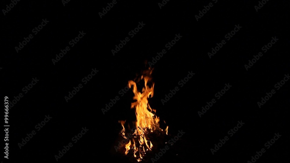 Fire burning isolated on black Fire burning isolated on black
