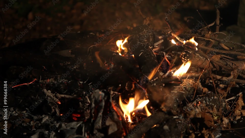 Fire burning upclose Fire burning upclose