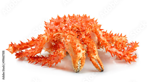 Alaskan king carb in isolated white background