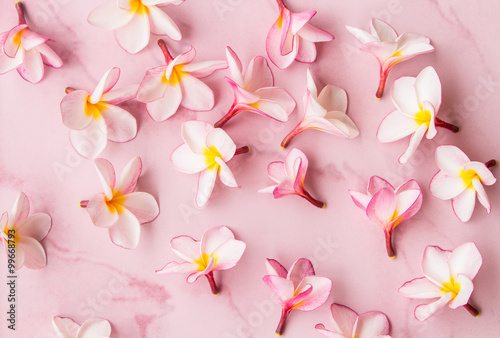 pink plumeria background