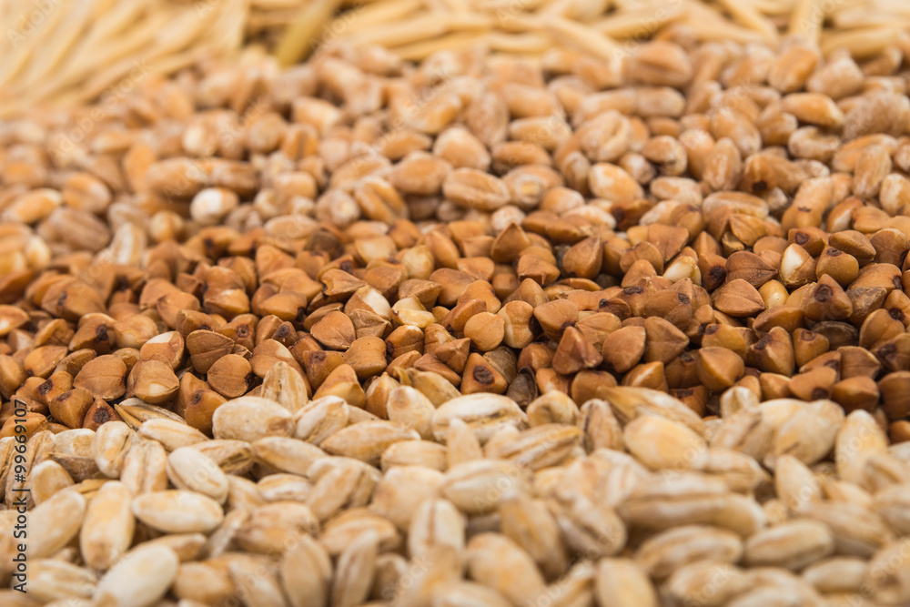 barley, wheat, buckwheat, oats barley, wheat, buckwheat, oats