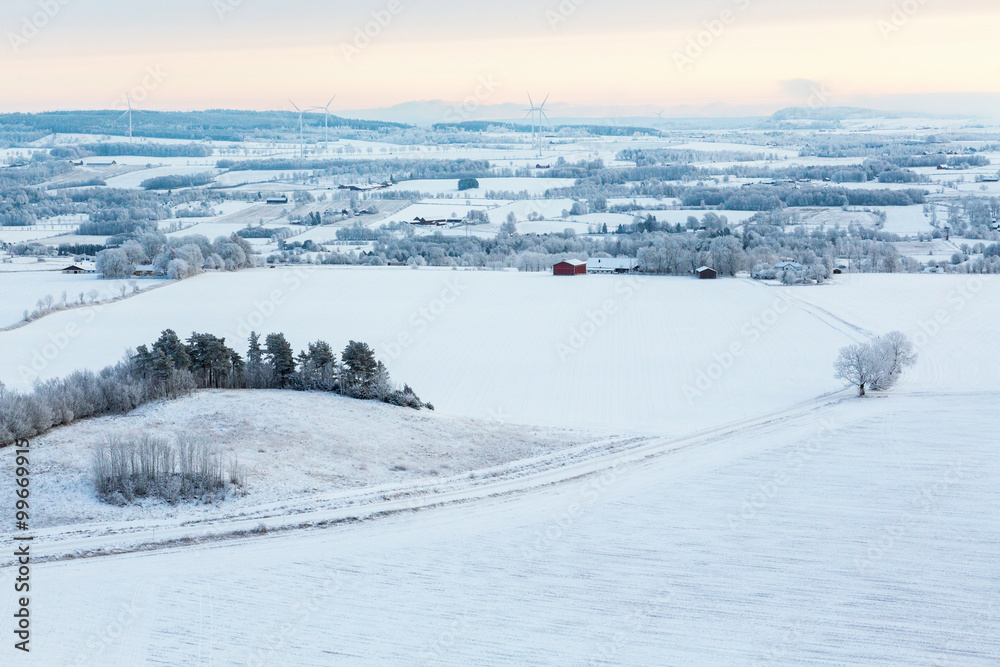 Winter view of the rural landscapes