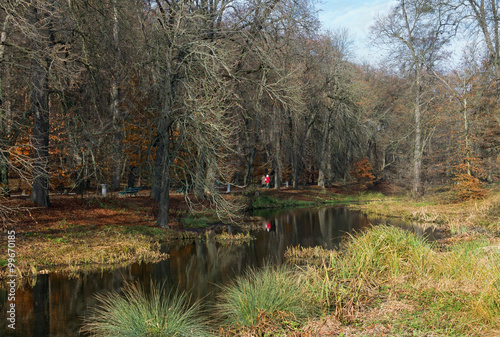 Kamianka river in park 