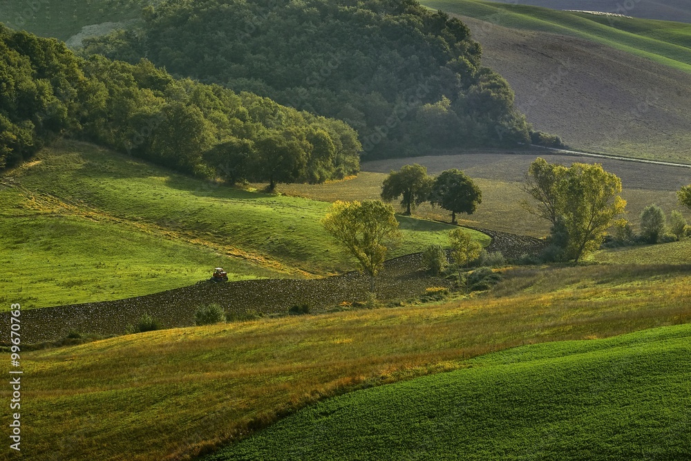 Tuscany - Landscape panorama, hills and meadow, - Italy