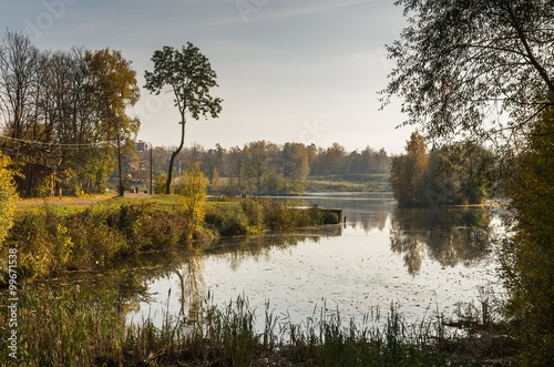 Autumn  landscape with golden trees and falling leaves in St.Petersburg region. photo