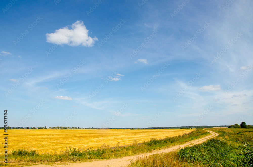 Rural path in the field