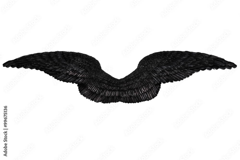 Fototapeta premium Black wings on white