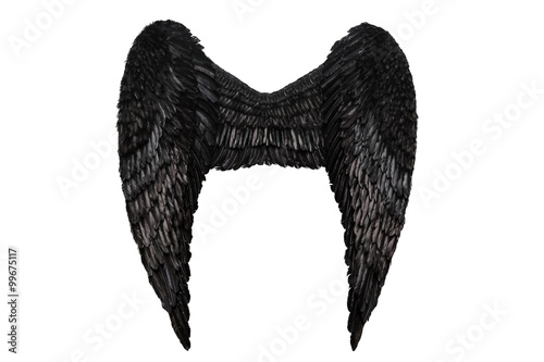Black wings on white