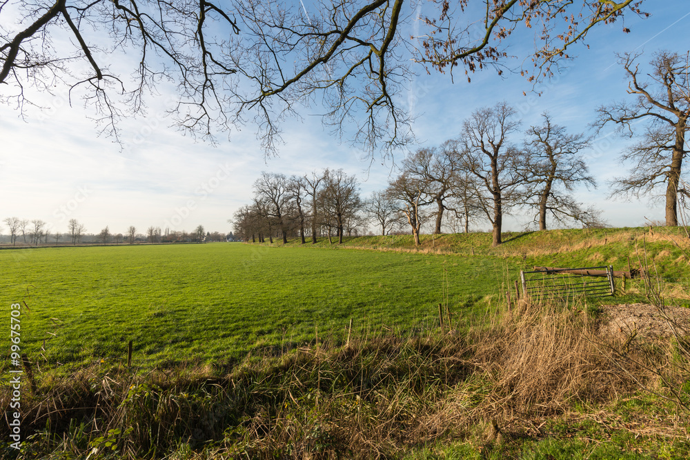 Dutch polder landscape in the fall season Dutch polder landscape in the fall season