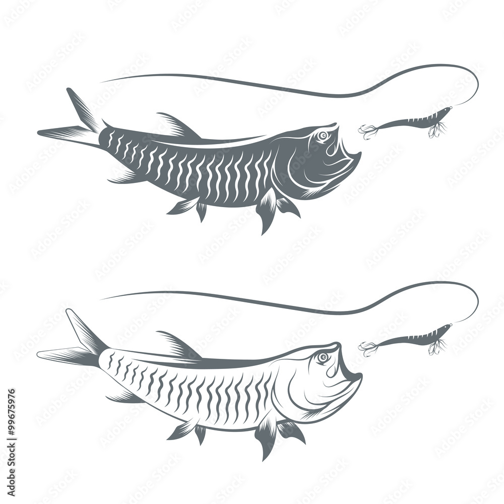 tarpon fish and lure template vector illustration tarpon fish and lure template vector illustration