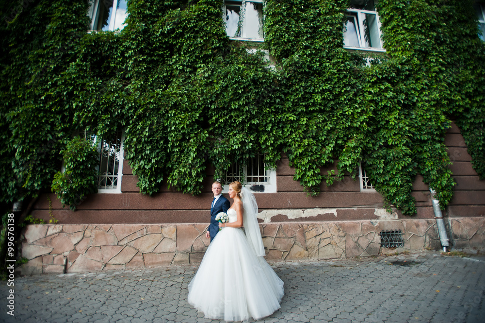 Newlywed on the background of house in plants Newlywed on the background of house in plants