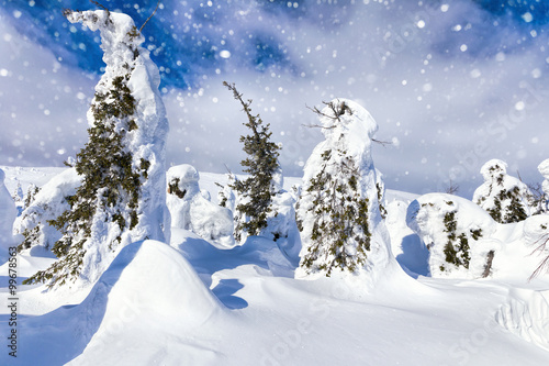 Beautiful winter wonderland during the sunny day. Winter landsca © ArtEvent ET