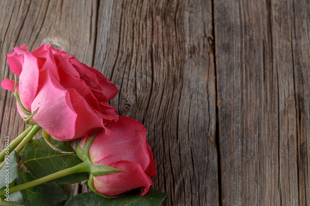 Three pink roses on wooden table Three pink roses on wooden table