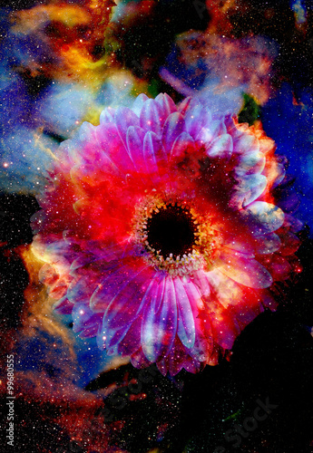Space and stars with flower, color galaxi  background, computer collage. 