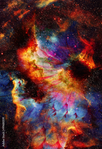 Space and stars with flower, color galaxi background, computer collage. 