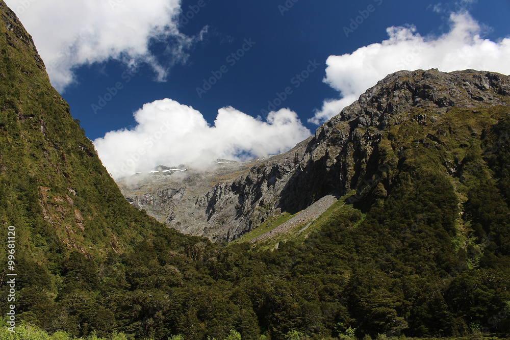 Fototapeta premium Countryside New Zealand