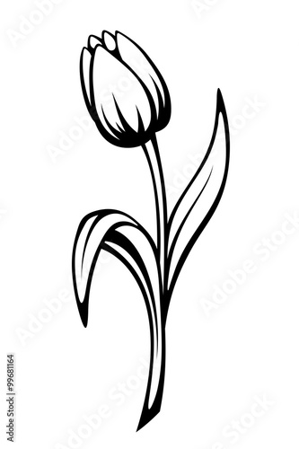 Black contour of a tulip flower. Vector line art illustration.
